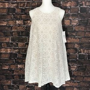 New Sharagano Lace Dress